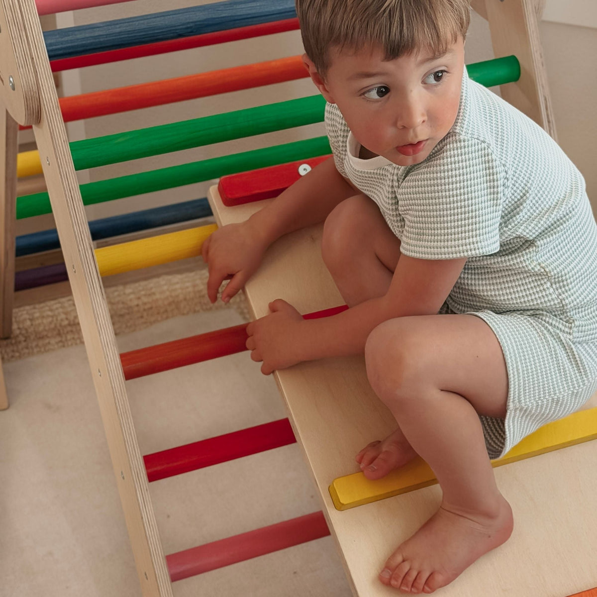 Bunny Hopkins Classic Climber Playset – Original Pikler Triangle with Reversible Ramp, Made in the USA