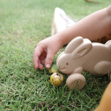 Load image into Gallery viewer, Push Along Bunny - White
