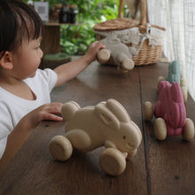 Load image into Gallery viewer, Push Along Bunny - White
