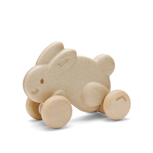 Load image into Gallery viewer, Push Along Bunny - White
