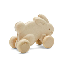 Load image into Gallery viewer, Push Along Bunny - White
