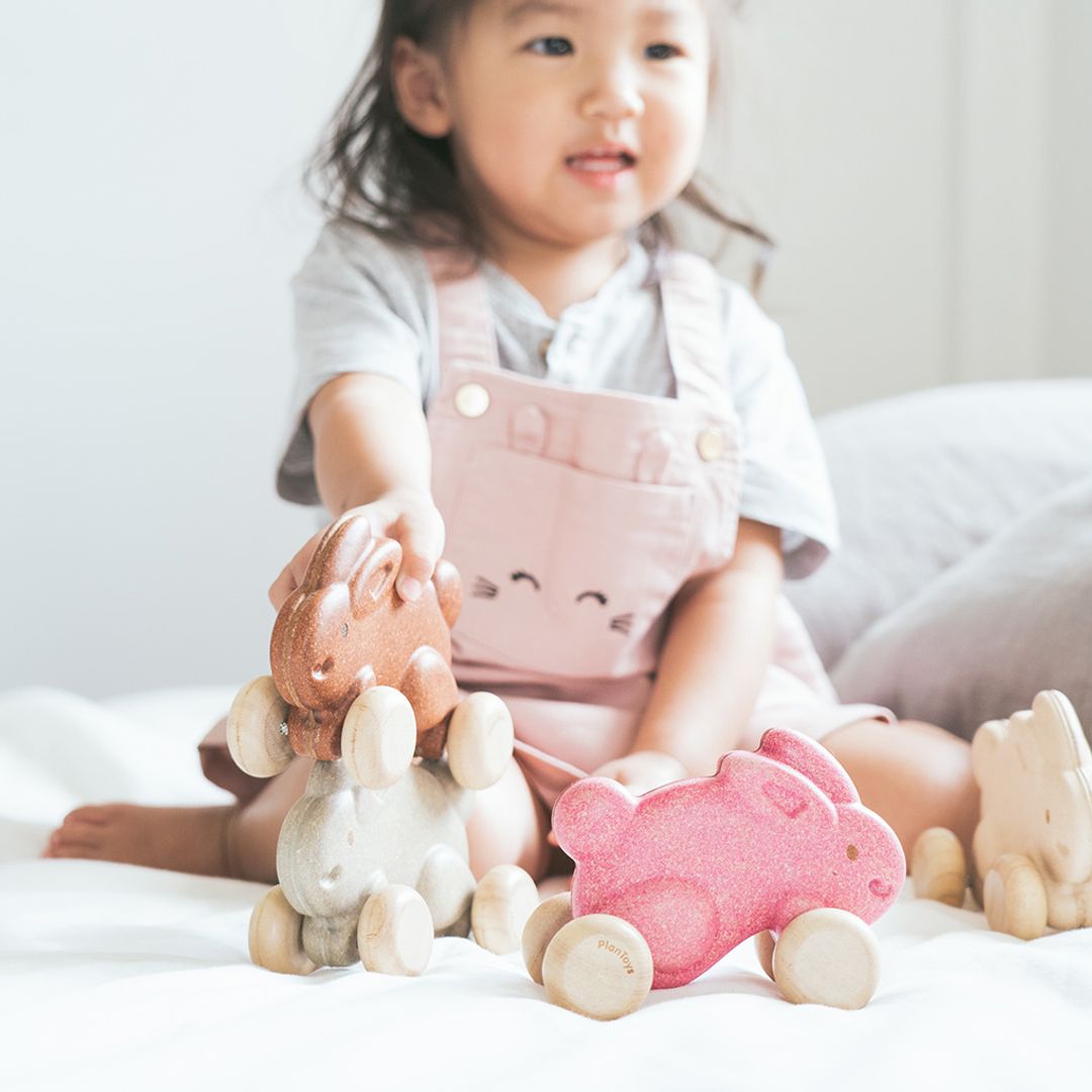 Push Along Bunny - Pink