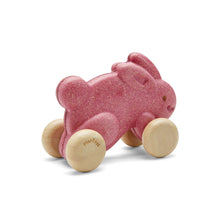 Load image into Gallery viewer, Push Along Bunny - Pink
