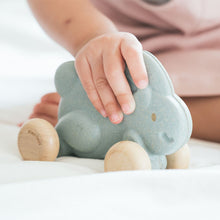 Load image into Gallery viewer, Push Along Bunny - Blue
