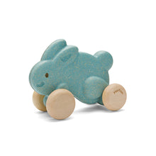 Load image into Gallery viewer, Push Along Bunny - Blue
