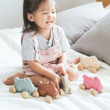 Load image into Gallery viewer, Push Along Bunny - Brown
