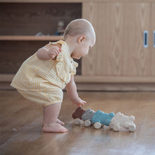 Load image into Gallery viewer, Push Along Bunny - Brown
