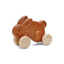 Load image into Gallery viewer, Push Along Bunny - Brown
