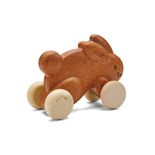 Load image into Gallery viewer, Push Along Bunny - Brown
