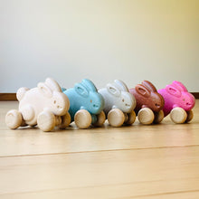 Load image into Gallery viewer, Push Along Bunny - Grey
