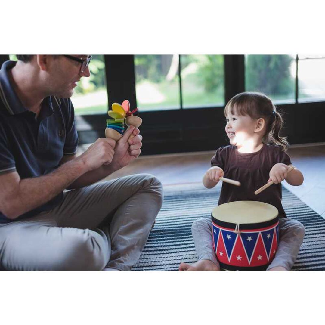 PlanToys Eco-Friendly Kids' Big Drum II