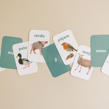Load image into Gallery viewer, Spanish Flashcards
