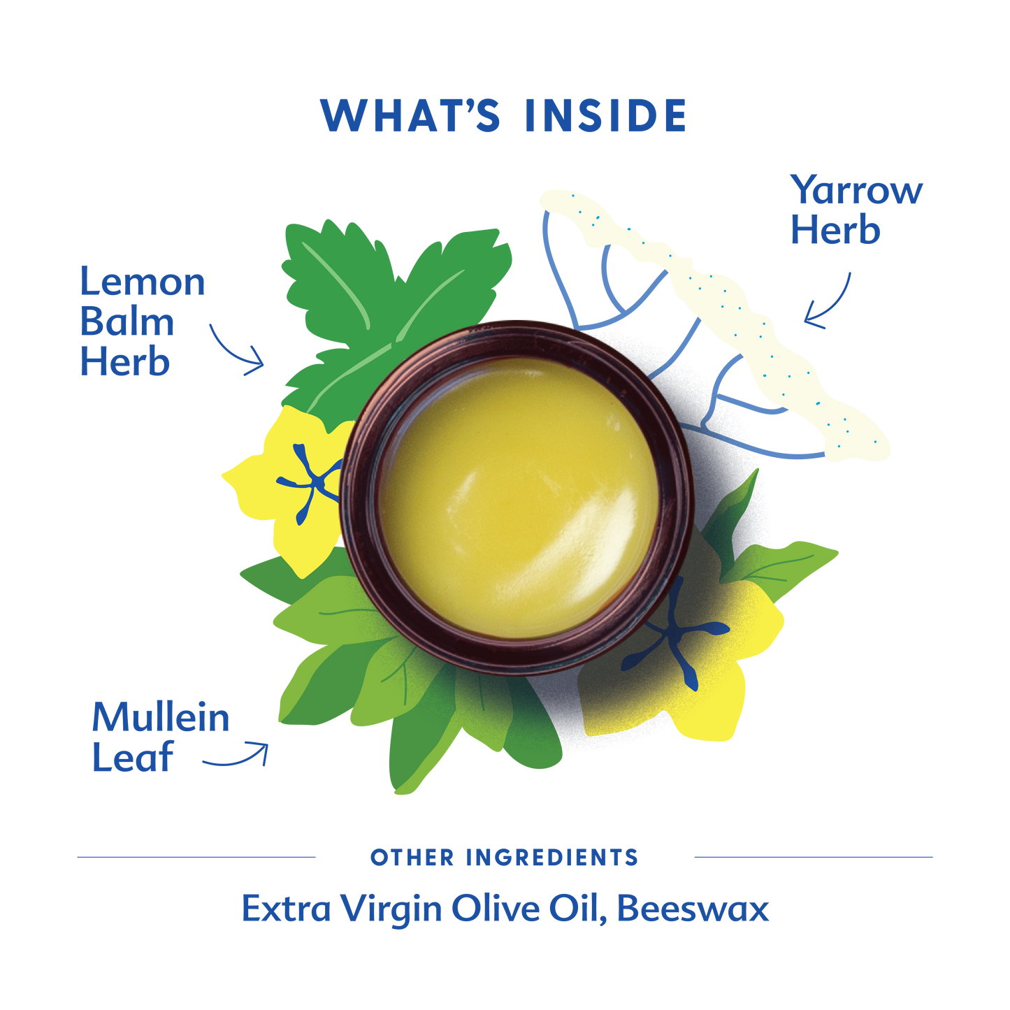 Motherlove Baby Hand & Knee Balm - Organic Herbal Protection for Crawling Adventures