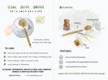 Load image into Gallery viewer, Sisal Dish Brush Replacement Head (1-Pack Refill)
