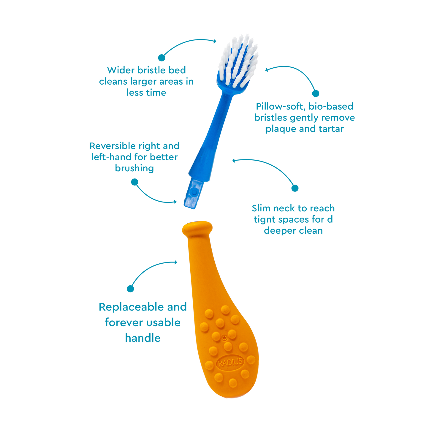 Big Kidz® Replaceable Head Forever Brush® (6yrs+)