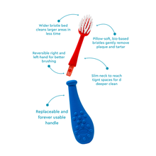 Load image into Gallery viewer, Big Kidz® Replaceable Head Forever Brush® (6yrs+)
