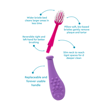 Load image into Gallery viewer, Big Kidz® Replaceable Head Forever Brush® (6yrs+)
