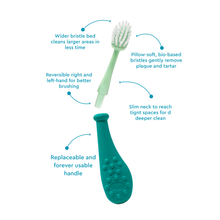Load image into Gallery viewer, Big Kidz® Replaceable Head Forever Brush® (6yrs+)
