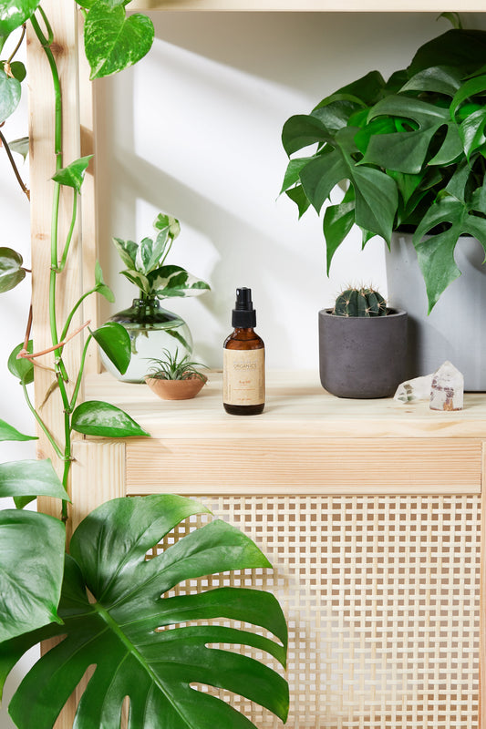 Butter Me Up Organic Bug Spray / Mosquito Repellant /