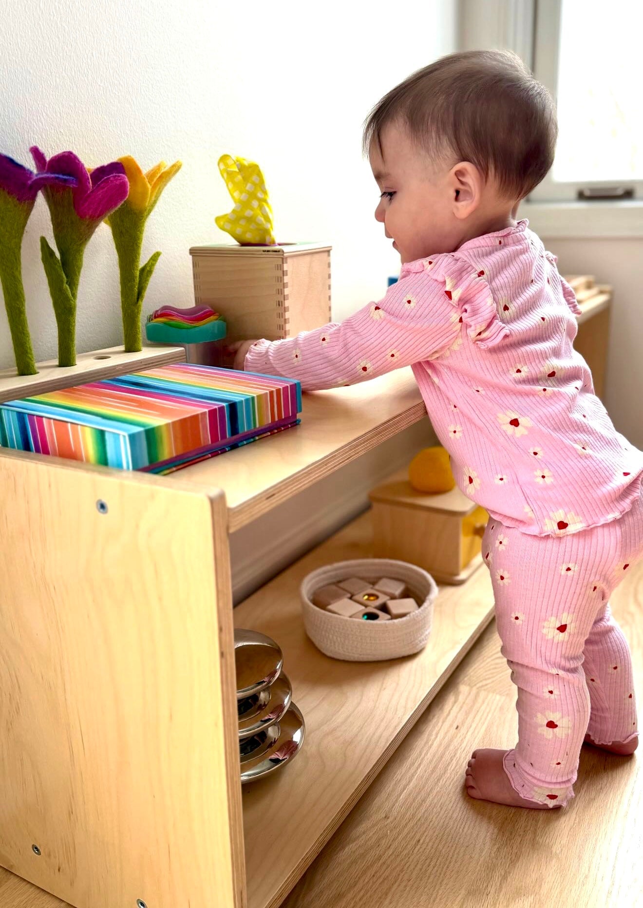 Infant Montessori Shelf