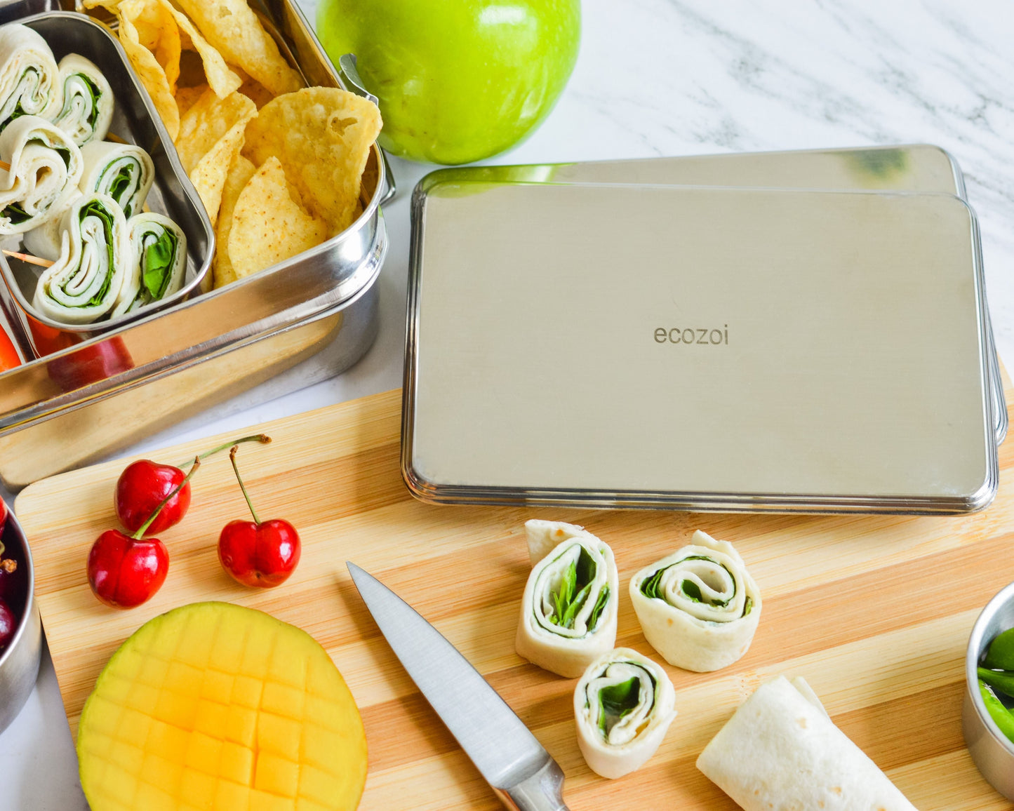 Ecozoi Stainless Steel Freezer PACKS FOR LUNCH Boxes and Lunch Bags, 2 Pack