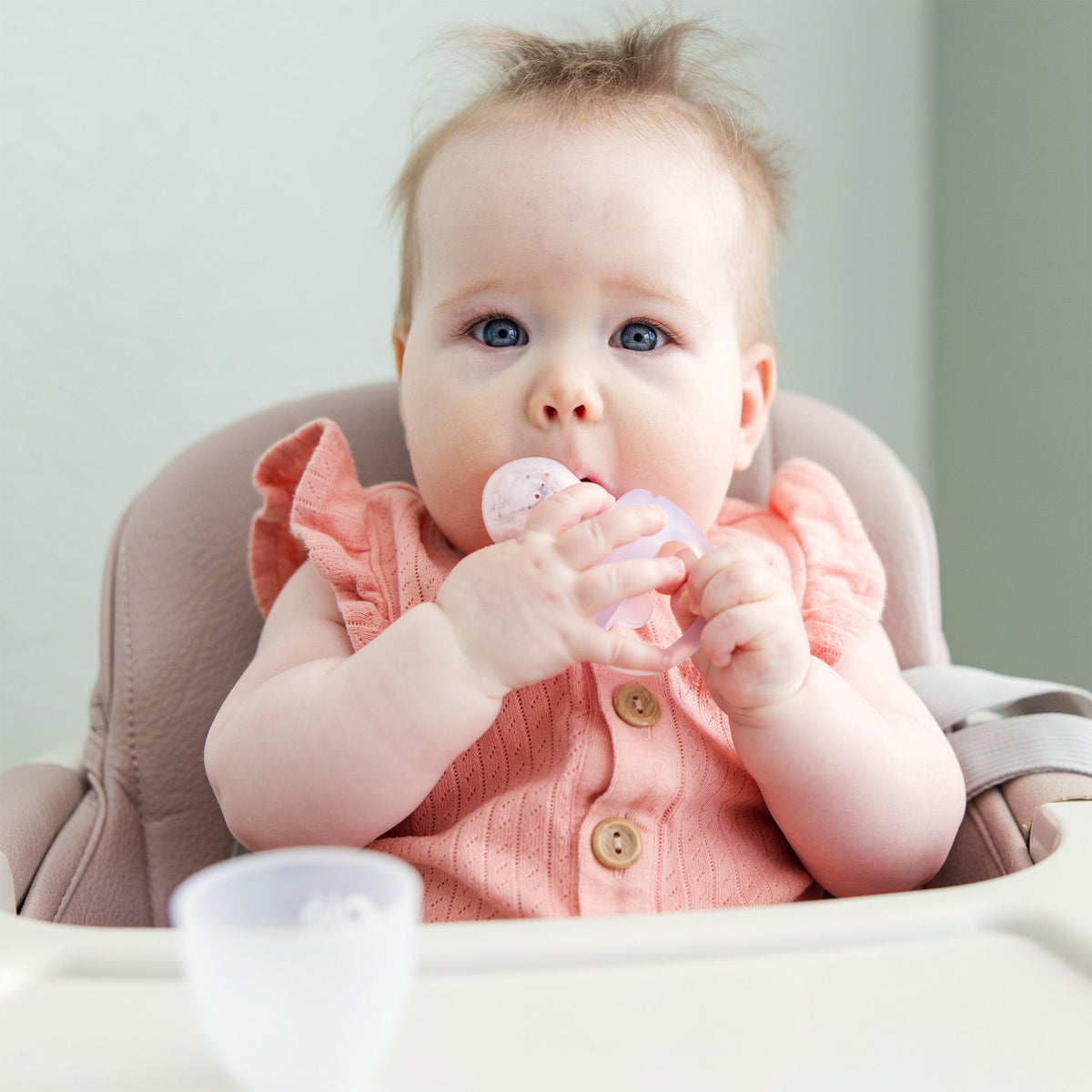Olababy Silicone Baby Food Feeder Set and Teether, Freezer Tray with Lid