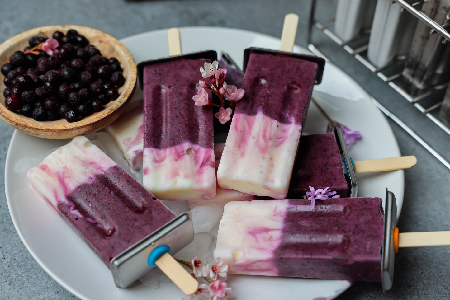 Ecozoi Non-Toxic Stainless Steel Popsicle Molds 10 Piece with 50 Reusable Sustainable Bamboo Sticks