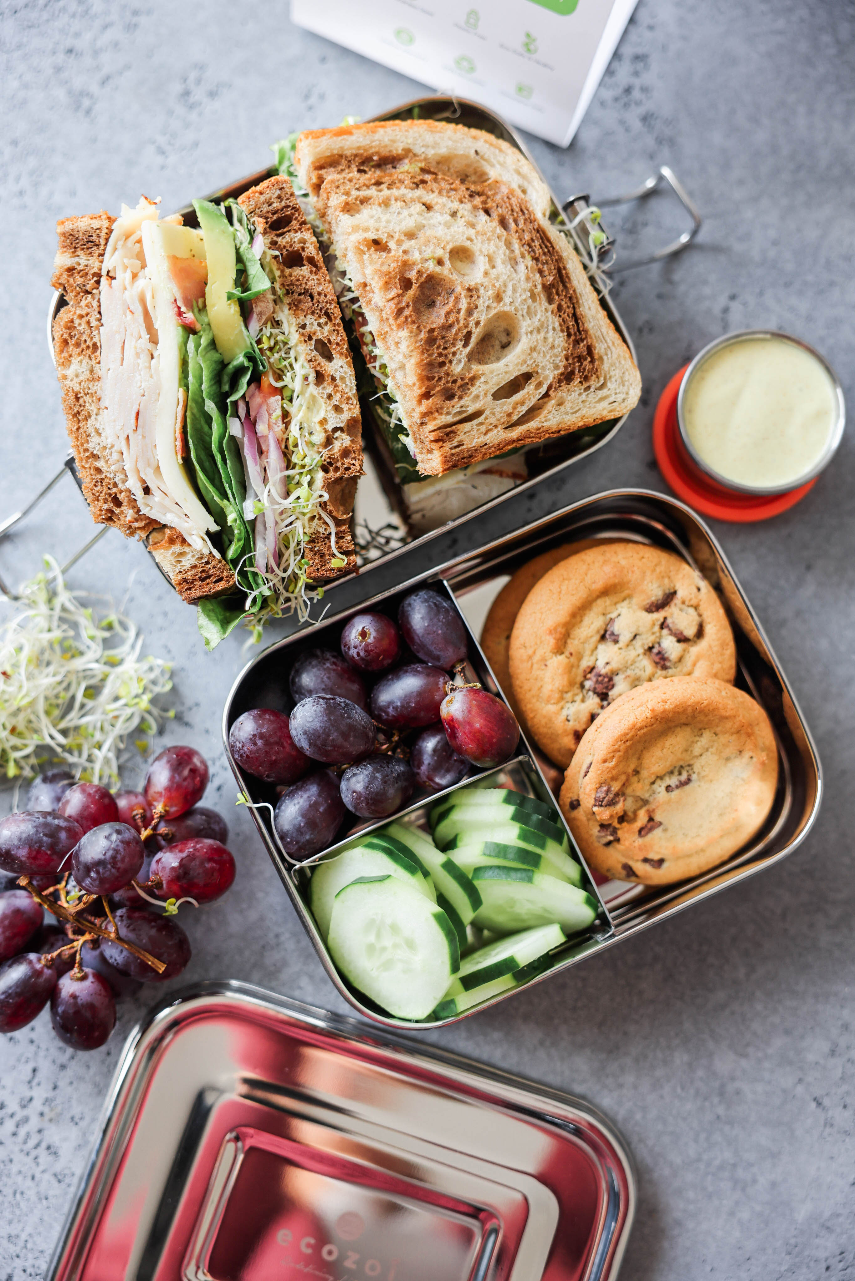 Ecozoi Lunch Box
