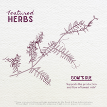 Load image into Gallery viewer, Goat&#39;s Rue Lactation Aid

