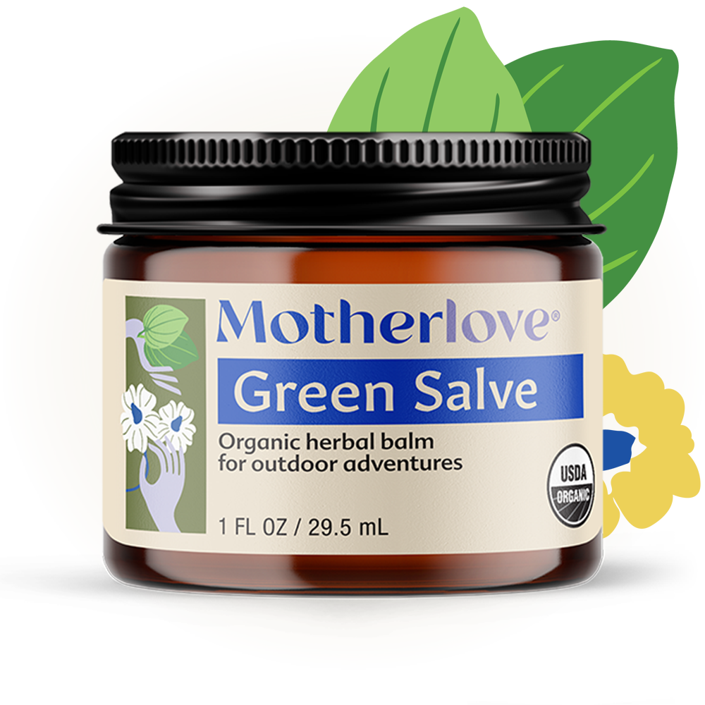 Motherlove USDA Organic Green Salve Herbal Balm for Outdoor Adventures | Soothing Scrapes, Bumps, Bruises, Bug Bites