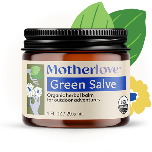 Motherlove USDA Organic Green Salve Herbal Balm for Outdoor Adventures | Soothing Scrapes, Bumps, Bruises, Bug Bites