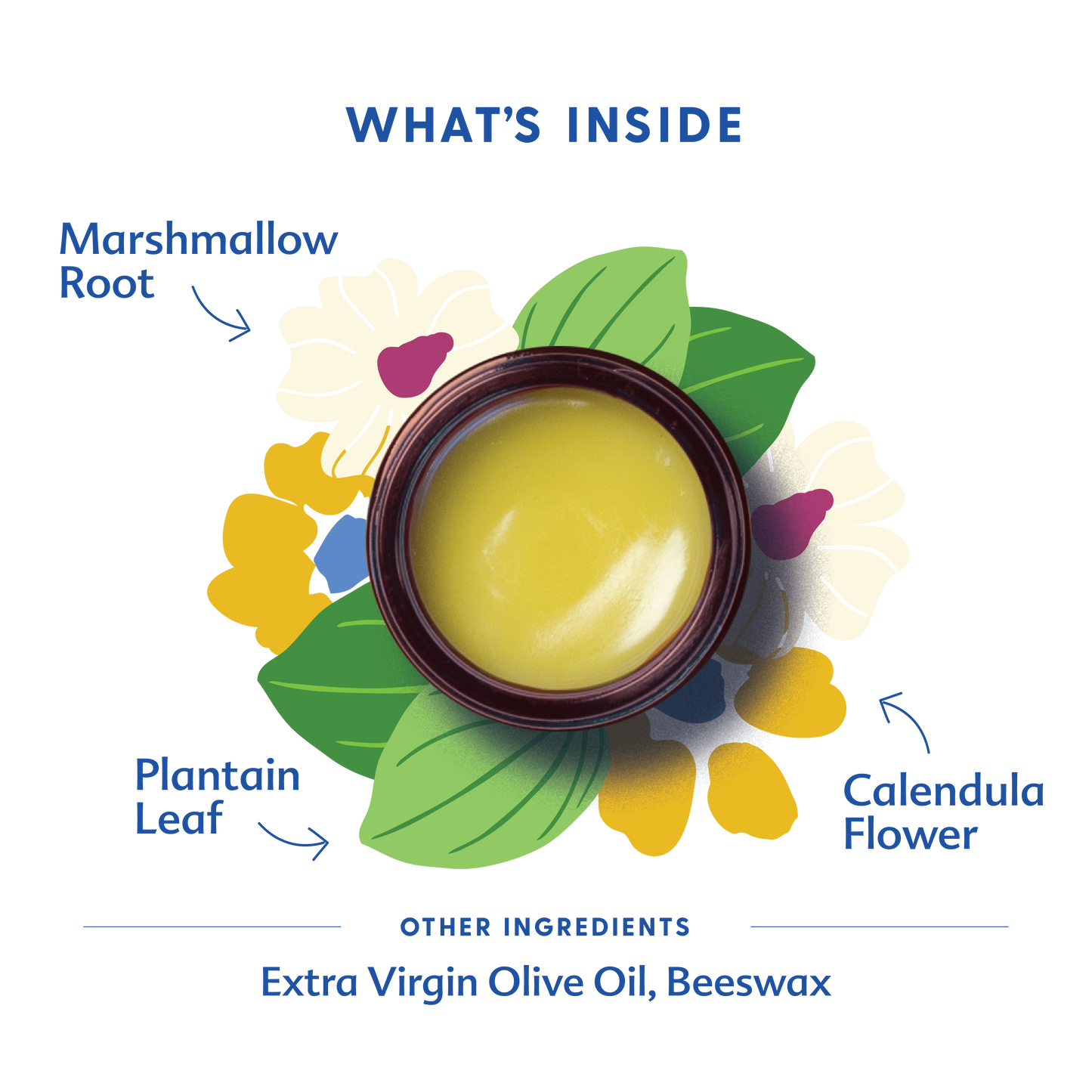 Motherlove USDA Organic Green Salve Herbal Balm for Outdoor Adventures | Soothing Scrapes, Bumps, Bruises, Bug Bites
