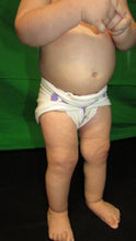 Load image into Gallery viewer, Stretchy Flat Organic Cloth Diapers
