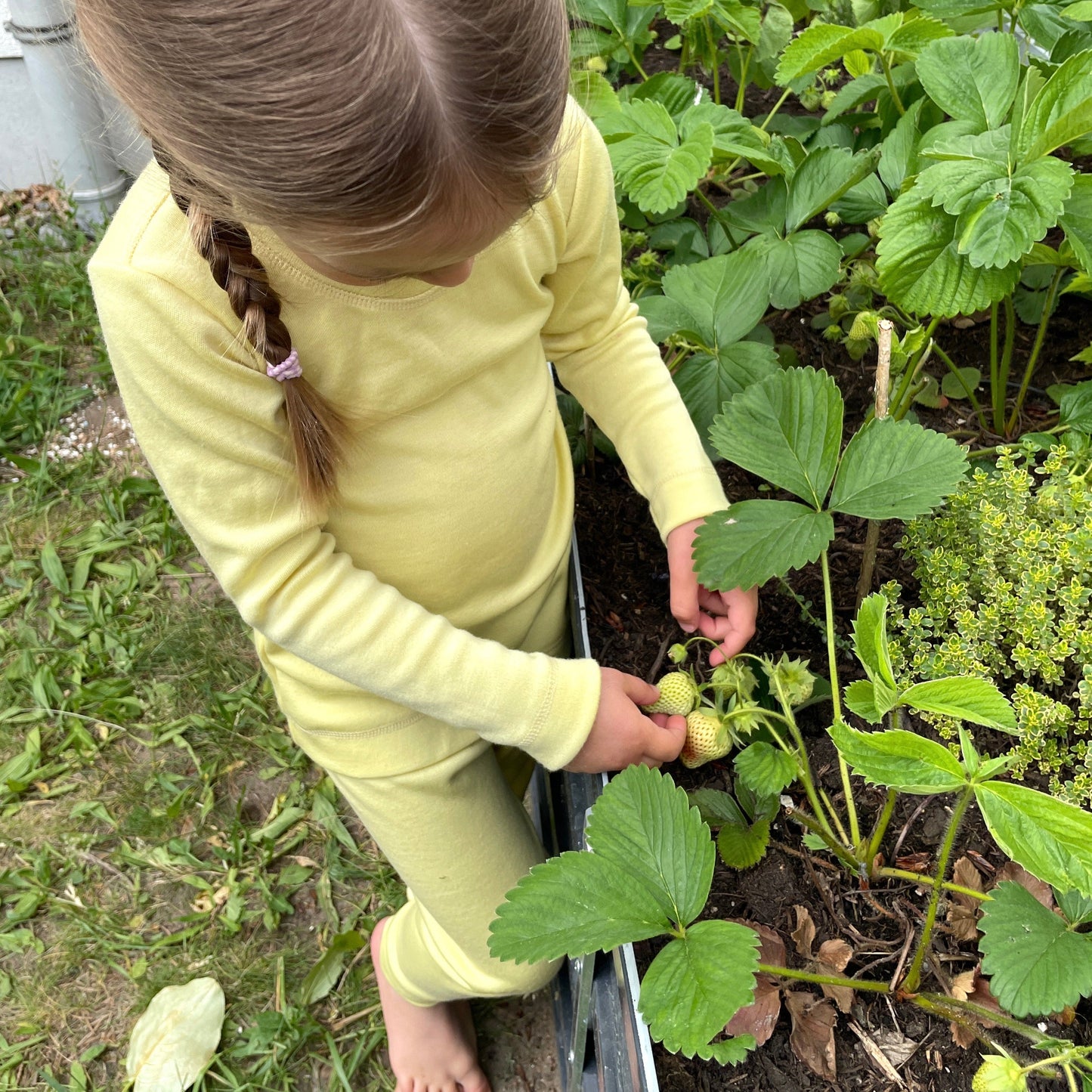 Silk & Merino Thermal Base-layer Set - lemon