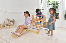 Load image into Gallery viewer, Olive- Pikler Triangle Ladder and Climber Slide - Multiple Sizes
