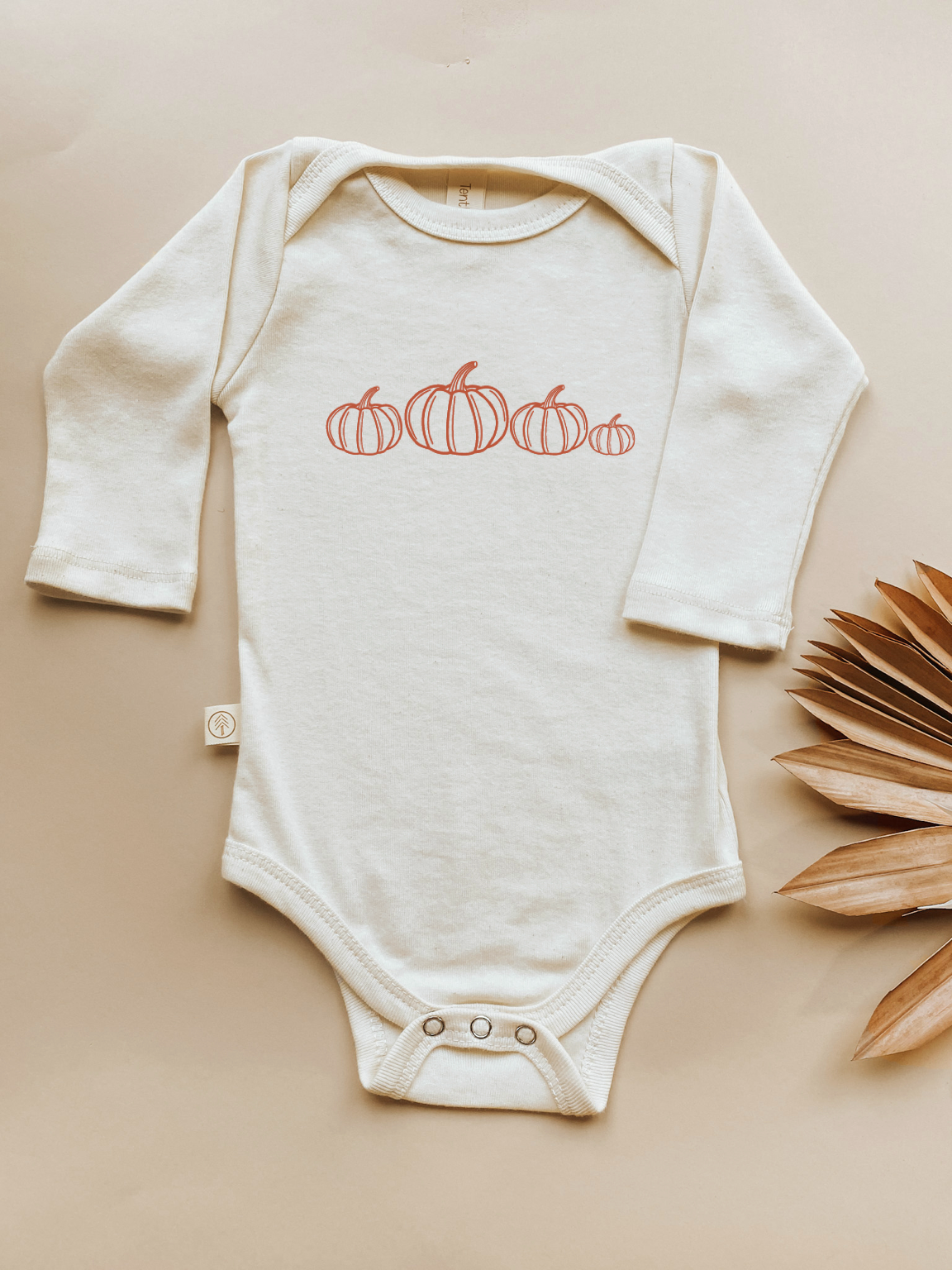 Pumpkin Patch Organic Cotton Baby Bodysuit – Long Sleeve, 0–24M