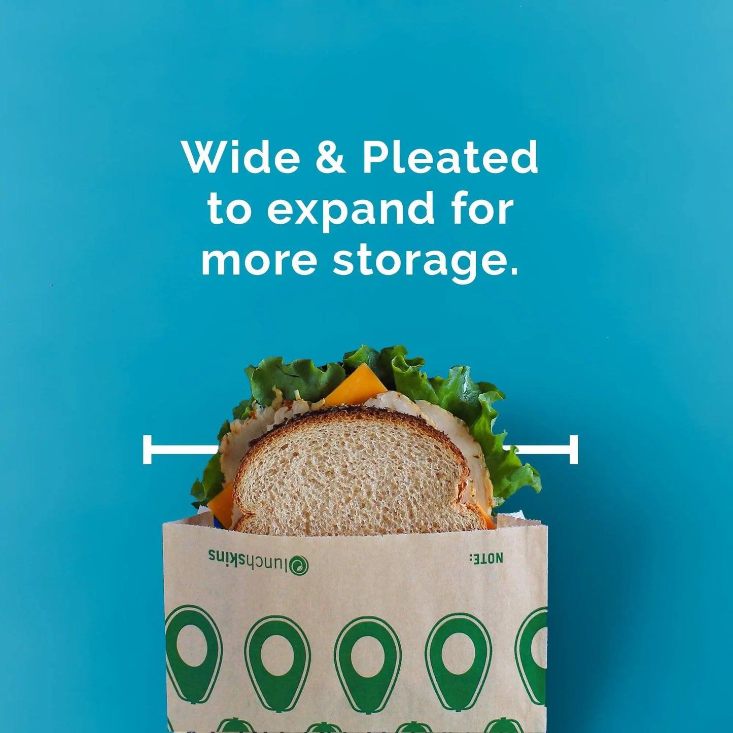 Paper Sandwich Bags (50-Pack) – Compostable, Plastic-Free & Food Safe