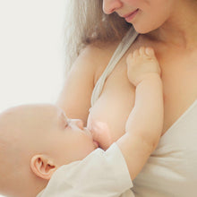 Load image into Gallery viewer, Haakaa Silicone Nipple Shields 2-pk (24 mm)
