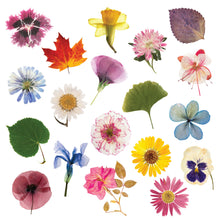 Load image into Gallery viewer, Flower Press DIY – Includes All Parts
