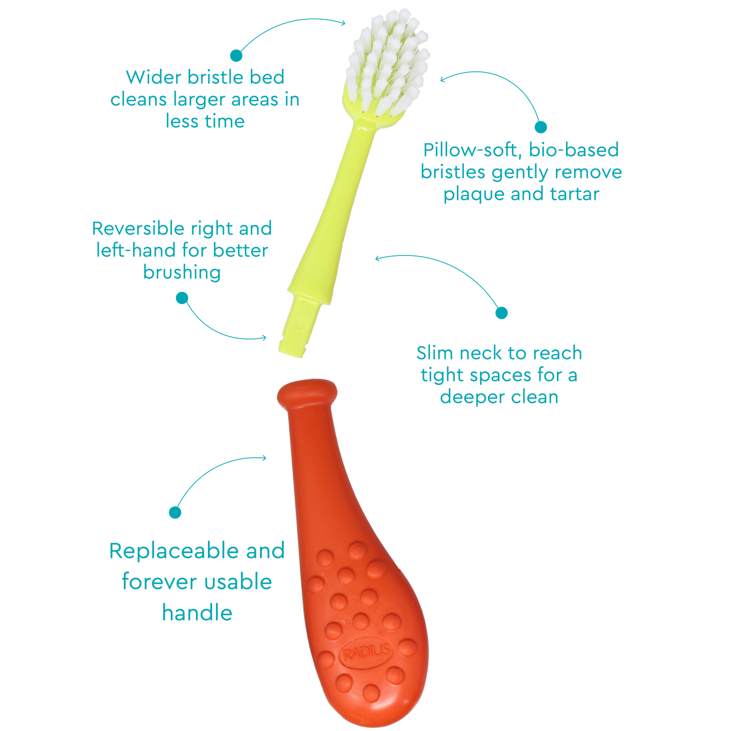 Big Kidz® Replaceable Head Forever Brush® (6yrs+)