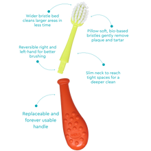 Load image into Gallery viewer, Big Kidz® Replaceable Head Forever Brush® (6yrs+)
