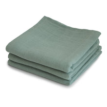 Load image into Gallery viewer, Organic Cotton Muslin Cloths 3-Pack
