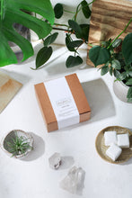 Load image into Gallery viewer, Organic Toilet Tabs / Antibacterial / Toilet Cleaning
