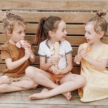 Load image into Gallery viewer, Haakaa Silicone Ice Pop Mold 1 pk
