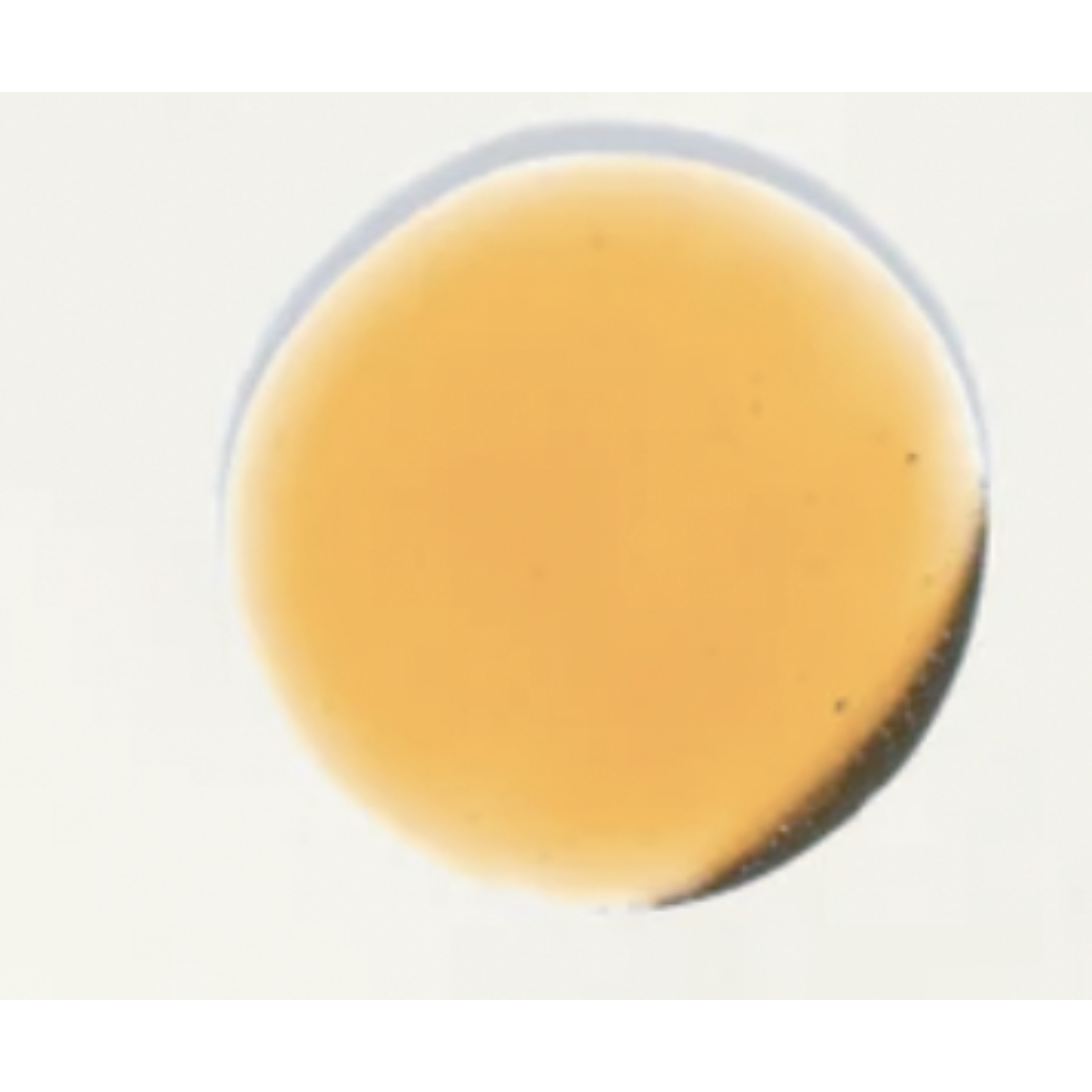 Nilceutica Anti-Aging Tight & Bright Serum - Advanced Gentle Phyto-Retinol and Vitamin C Face Serum