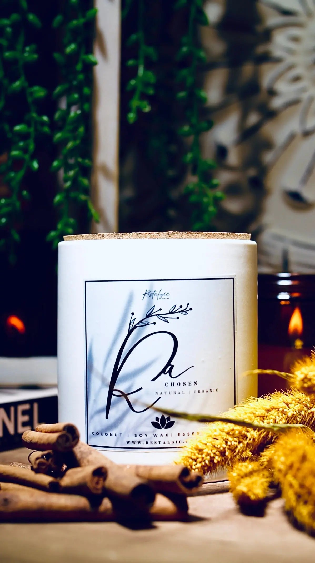 Woodwick Coconut Soy Candles