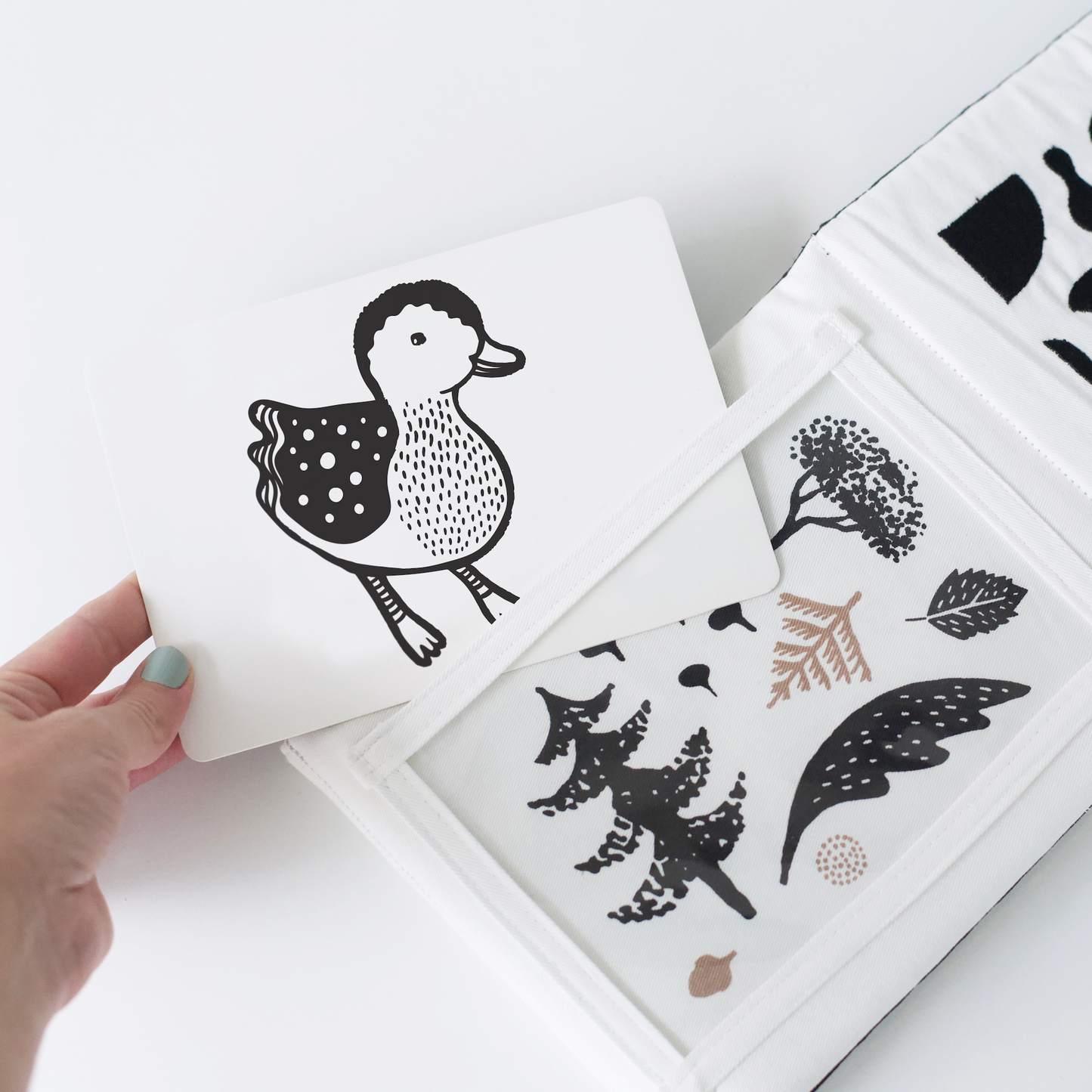 Wee Gallery Eco-Friendly Non-Toxic Newborn Baby Gift Set - Baby Animals