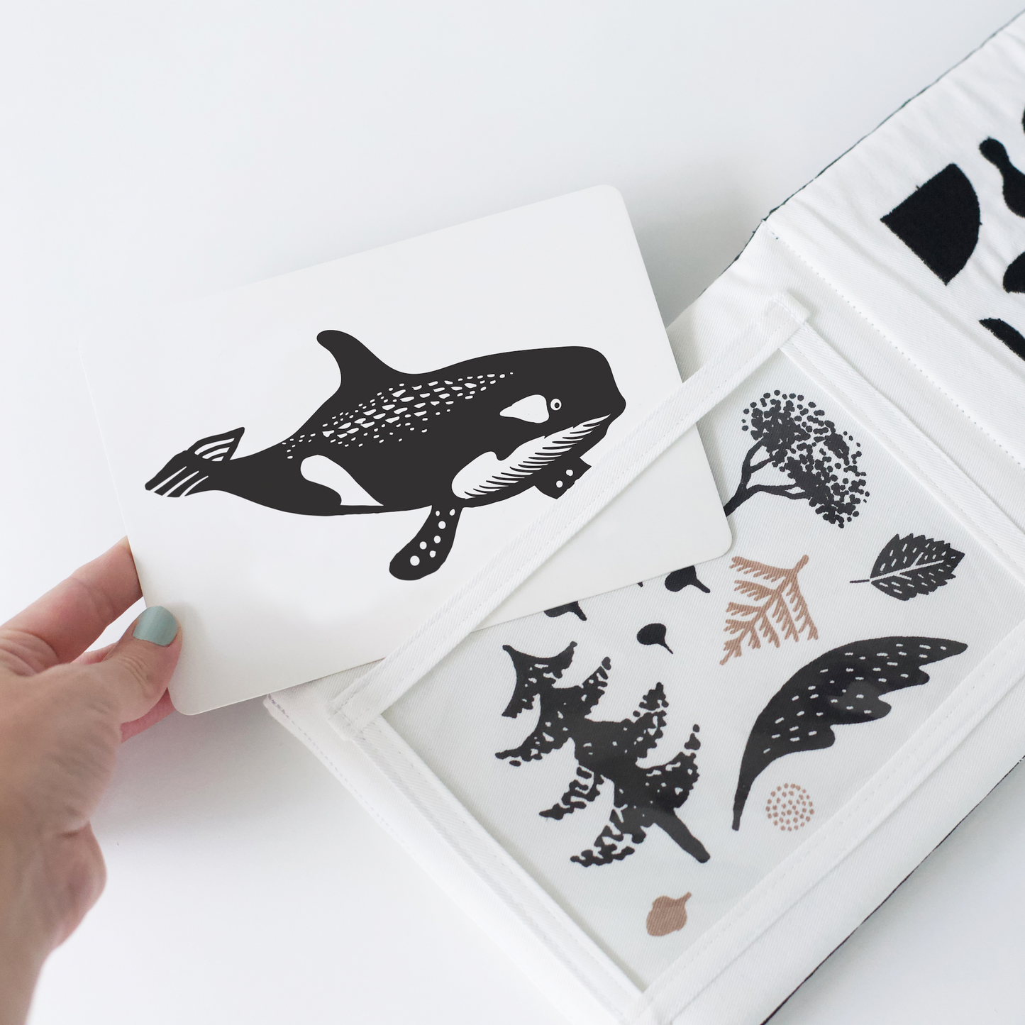 Wee Gallery Eco-Friendly Newborn Baby Naturalist Gift Set - Black + White