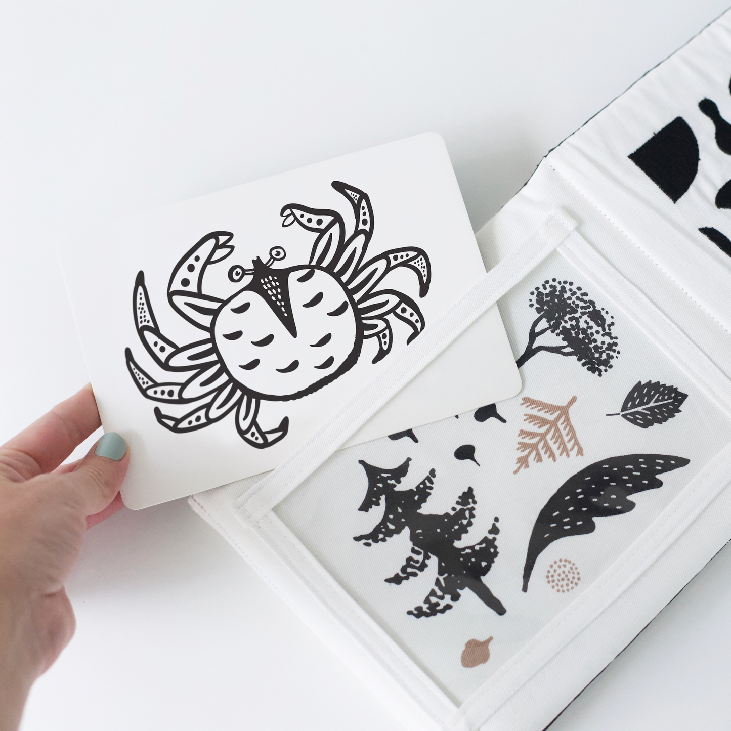 Wee Gallery Organic Eco-Friendly Newborn Baby Gift Set | Ocean