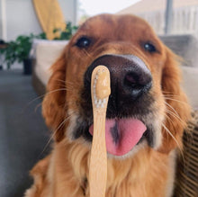 Load image into Gallery viewer, Bamboo Toothbrush - Child
